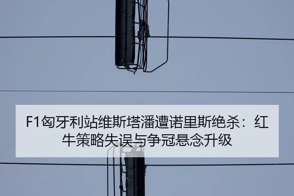 F1匈牙利站维斯塔潘遭诺里斯绝杀：红牛策略失误与争冠悬念升级
